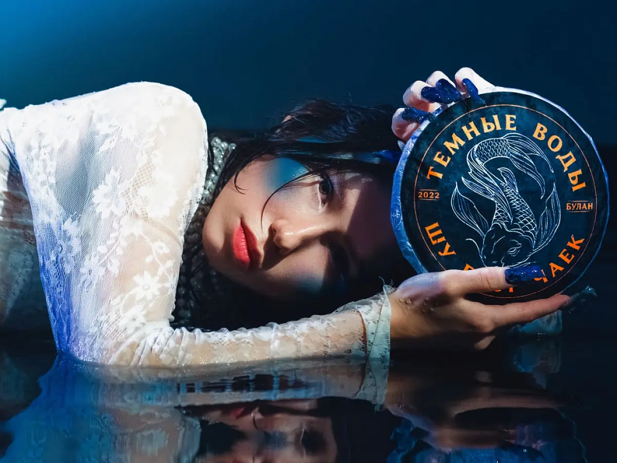 Шу пуэр «Тёмные воды», ЧАЁК, 357 грамм, 2022 год