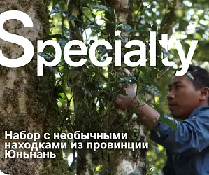 Specialty Box от ЧАЁК