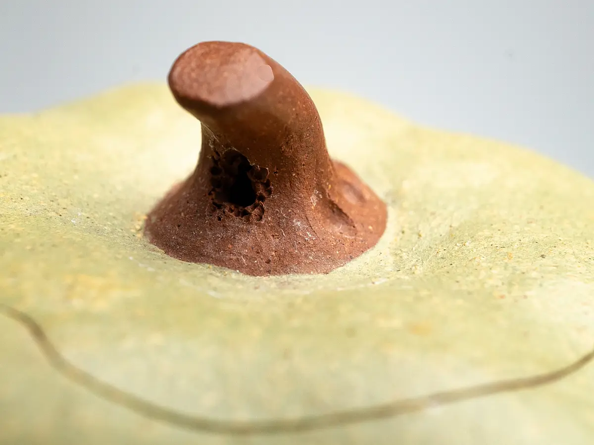 Исинский чайник, 100 мл, № 556