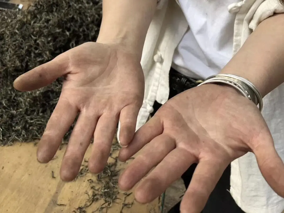 Хе Кай Гу Шу, 2017 год