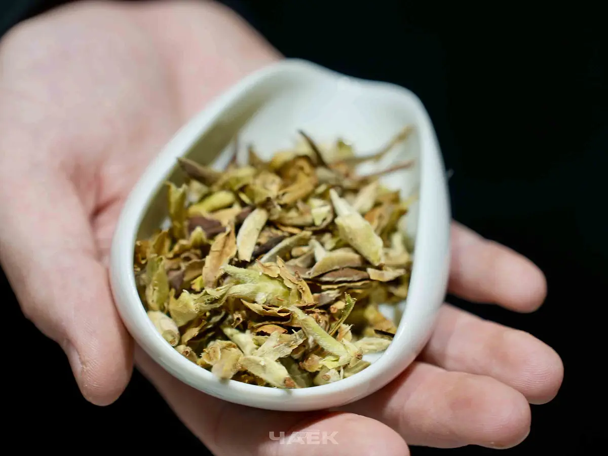 Чахэ № 1, фарфор