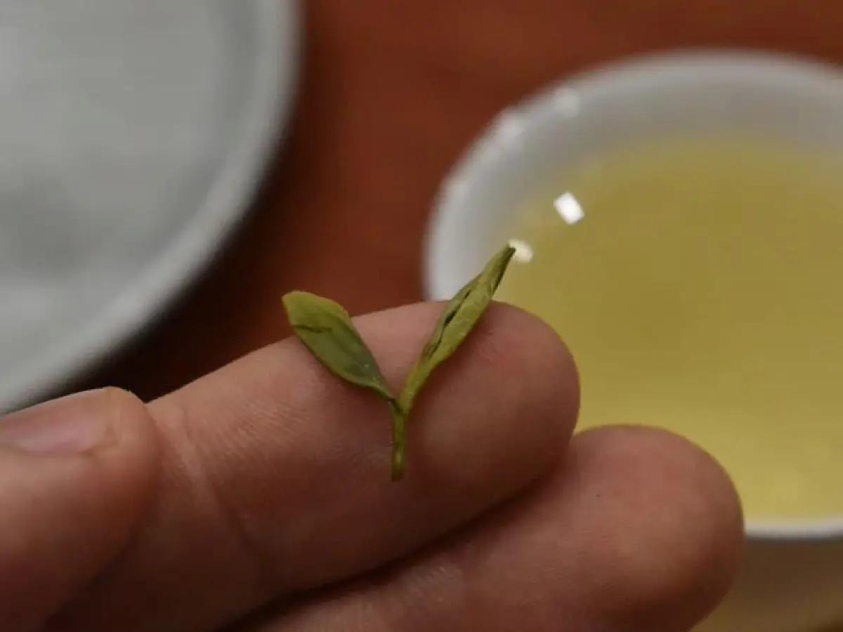 Си Ху Лун Цзин