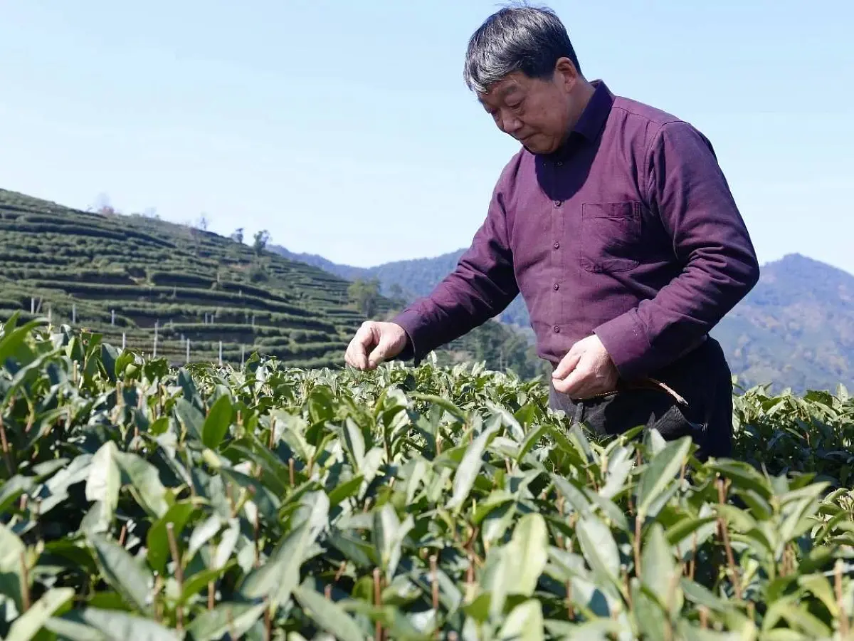 Эмэй Шань Лун Цзин