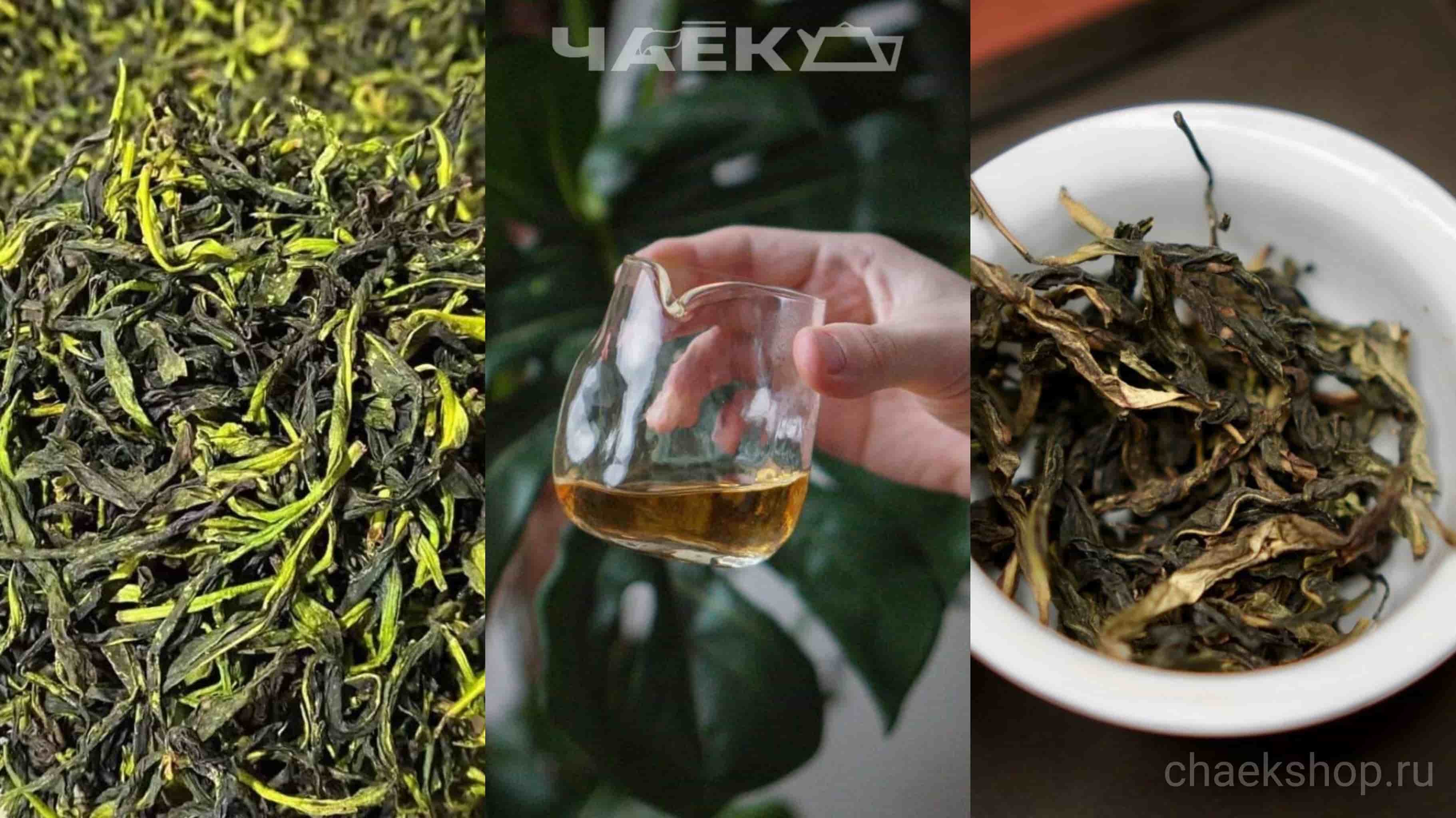 Расслабляющий чай: Гуандунский улун «Чоу Ши Я Ши Сян»
