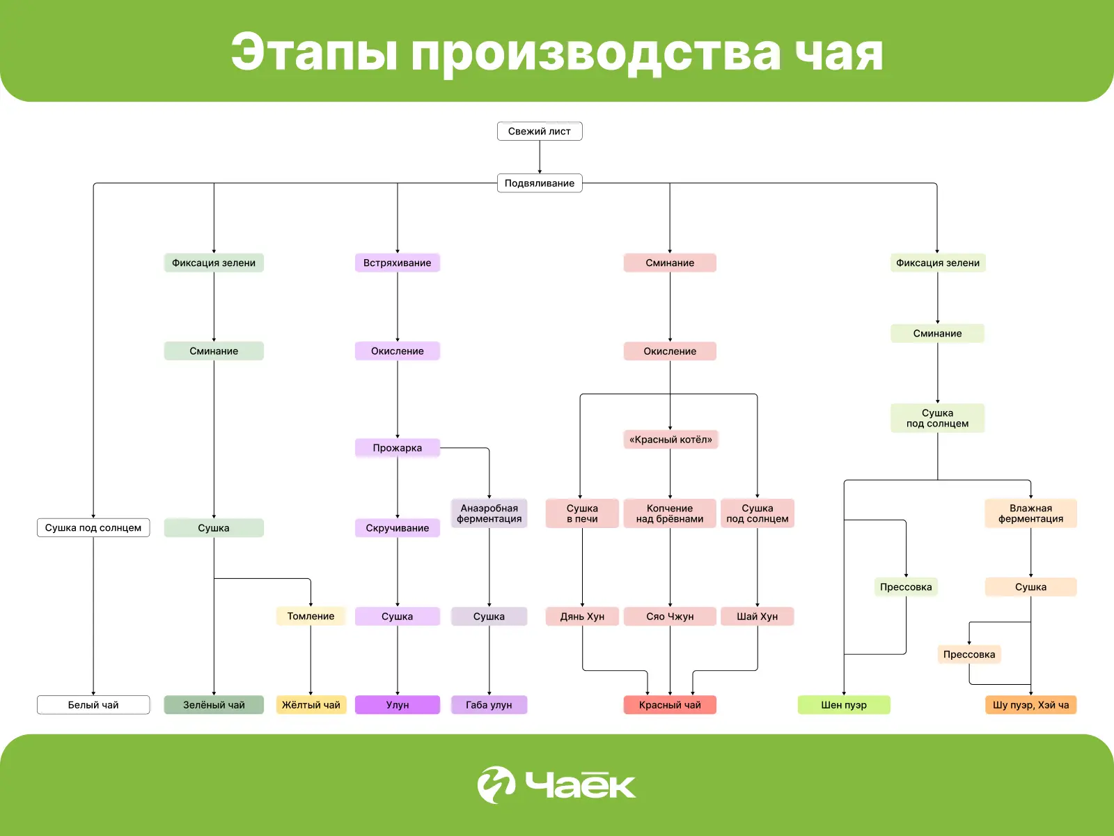 Китайская классификация чаёв